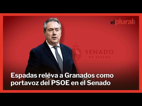 Juan Espadas, nuevo portavoz del PSOE en el Senado