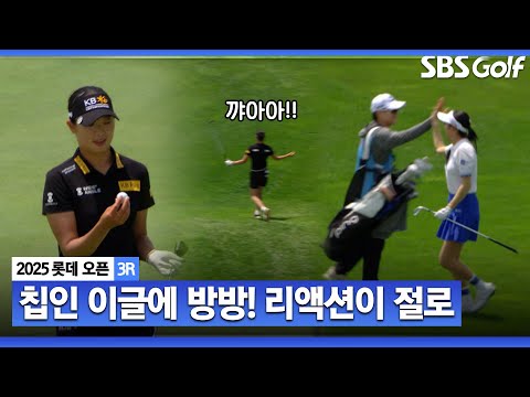 [2025 KLPGA] 리액션이 절로! 짜릿한 방신실과 박혜준의 칩인 이글_롯데 오픈 3R