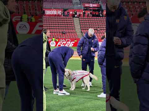 A new friend in Montilivi 🐶 #shorts #fcbarcelona #shortvideo