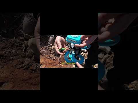 橋上發現一個奇怪玩具，突然被大風吹到了橋下，夥伴說那是停車場 #户外 #玩具 #乡野生活