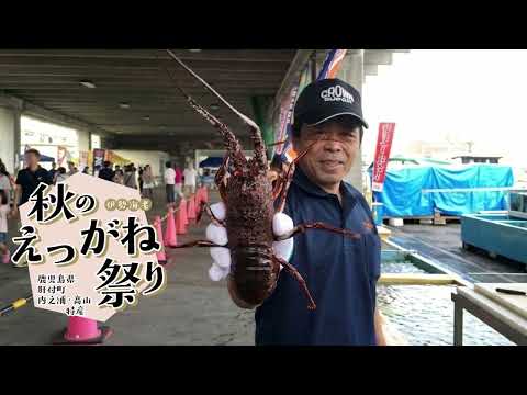 肝付町紹介動画