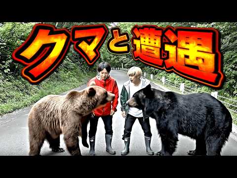 クマと素手で戦ってみた