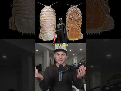 New Animals Recently Discovered