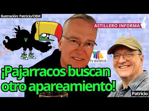 Tucanes del Verde vuelan por el Ajusco, se quieren aparear con un señor que era (muy) rico: Patricio