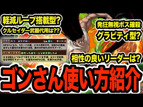 ハンターハンター☆８ゴンの使い方紹介！オススメのアシストや代用、グラビティ型も解説！【パズドラ】