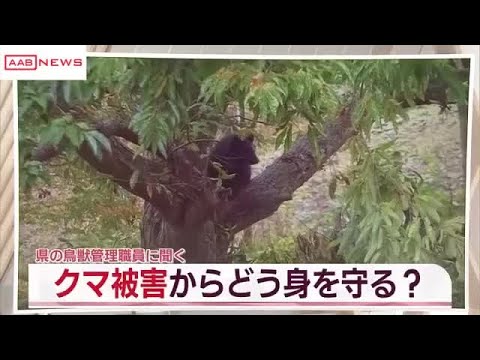 秋田のクマの人身被害10月としては過去最多　身を守るには？　県鳥獣管理職員に聞く (2025/10/29 19:54)