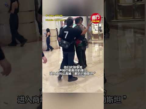 蔡添强商场举巴旗被驱逐