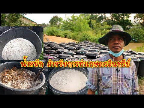 EP2---น้ำหมักสำหรับการทำเกษตรอ EP2---น้ำหมักสำหรับการทำเกษตรอ