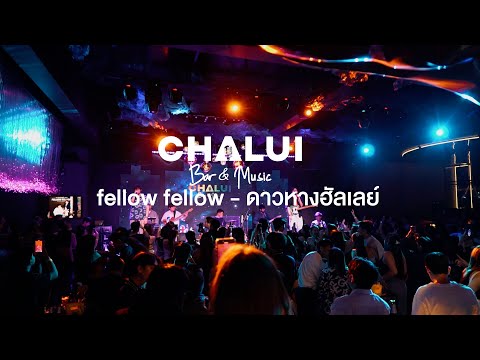 fellowfellow-ดาวหางฮัลเลย์