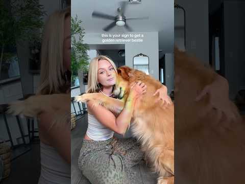 coming home to my golden retriever with sad news🩵#retreiver #dog #dogmom #goldenretreivers #puppy サムネイル