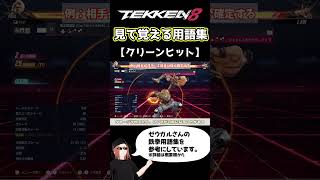 【鉄拳8】見て覚える用語集【クリーンヒット】