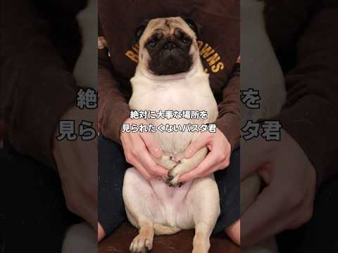 また削除される前に見て下さい。800万再生された動画を修正して再UP