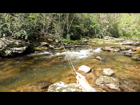 Backpackers mocked me for fishing here...they didn't know about the amazing wild trout!