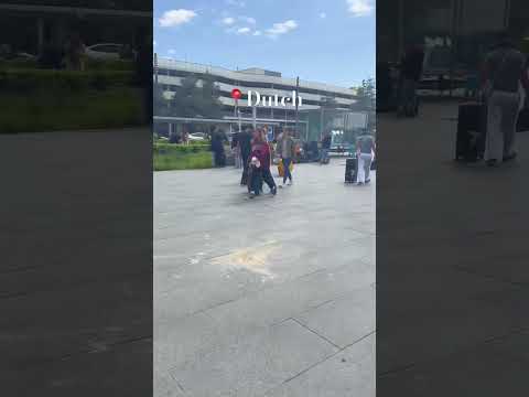 Mila is back 🫶🏼#mila#amira#bestfriend