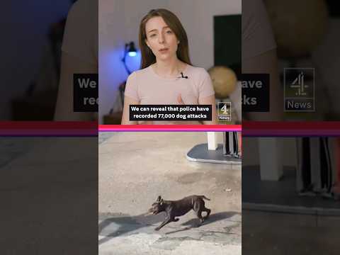 Shocking dog attack stats revealed