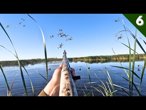 Crazy MIXED BAG In A HIDDEN MARSH (Limited Out) | Duck Hunting 2025