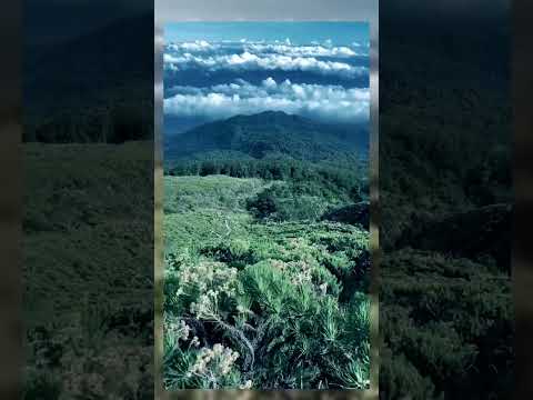 so healing view #travel #nature #mountains #relaxing #lake #shortvideo #adventure #view