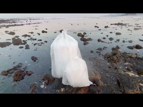 【驚異の冷却力】海水を凍らせた「海水氷」は真水氷の3倍効く！？夏の魚を守る最強の選択とは