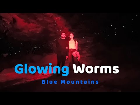 Glowing Worms cave - Blue Mountains | Heaven on Earth