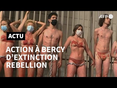 Extinction Rebellion s'enchaîne à Bercy pour dénoncer les plans de relance | AFP