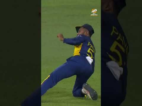 Some stunning catches highlight Emirates Fly Better on the fifth day of Super 8 at #T20WorldCup 🔥