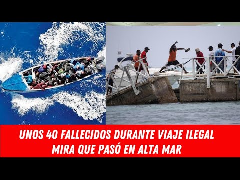 unos 40 fallecidos durante viaje ilegal mira que pasó en alta mar