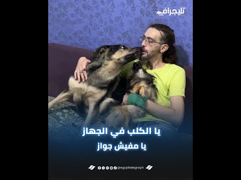 "يا الكلب في الجهاز يا مفيش جواز" طلق مراته بسبب حبه ووفائه لكلبه