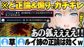 フブさんからのプレゼント(罠)でパスタを殴っていたらルイ姉からど正論で殴られフブさんにも煽られるござる【風真いろは 鷹嶺ルイ 白上フブキ ホ