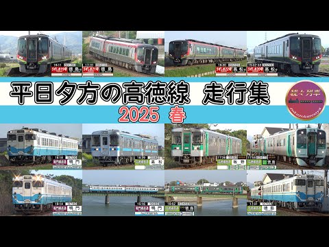 キハ40系の方が多い？平日夕方の高徳線走行集2025.4【続々列車】