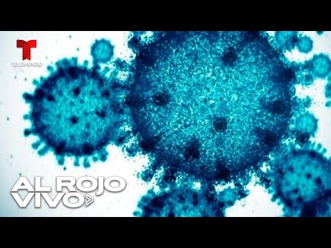 Confirman que el virus Alaskapox cobró su primera víctima humana