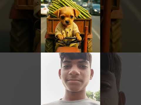 The poor puppy didn't have hen so, his rich friends making fun of him #animals #funny#cartoon