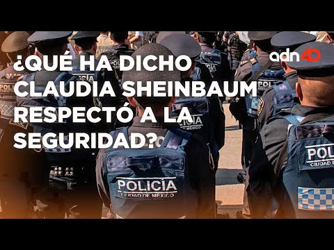 ¿Qué ha dicho Claudia Sheinbaum respectó a la seguridad del país? I Todo personal