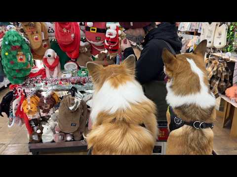 愛犬を連れて「冬用の犬服」を買いに行った結果…
