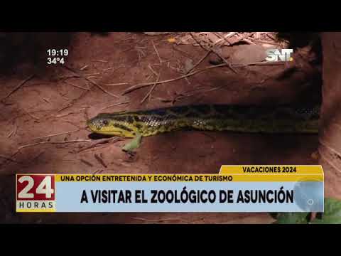 A visitar el zoológico de Asunción