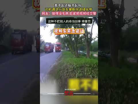 惹不起還躲不起嗎 司機遇逆行貨車果斷拐進綠帶 #安全駕駛 #駕駛 #安全意識 #文明駕駛 #司機 #驚險  #safedriving #driver #safetyfirst #shorts サムネイル