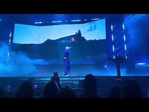 Chris brown- Bruce Lee/ Delusional live