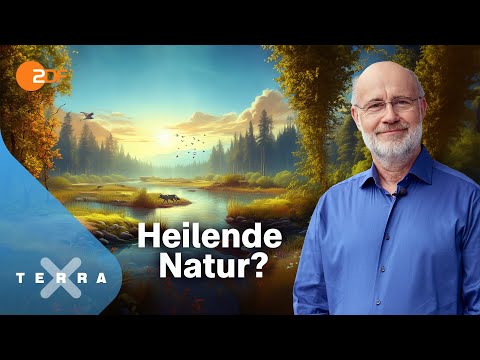 Harald Lesch … und die unterschätzte Klimachance | Terra X Harald Lesch [Ganze TV-Folge]