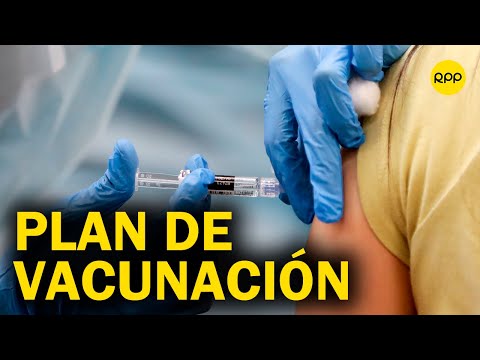 Plan de vacunación en el Perú: Aún no se sabe la temporalidad en la que se va a aplicar COVID-19