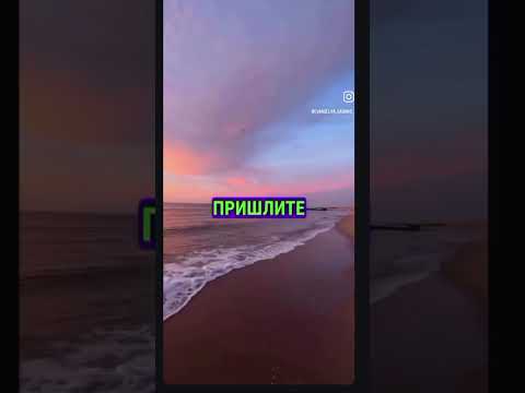 #таро #music #талант #таролог #музыкальность #психология #беларусь #юмор #мастертаро #гадание