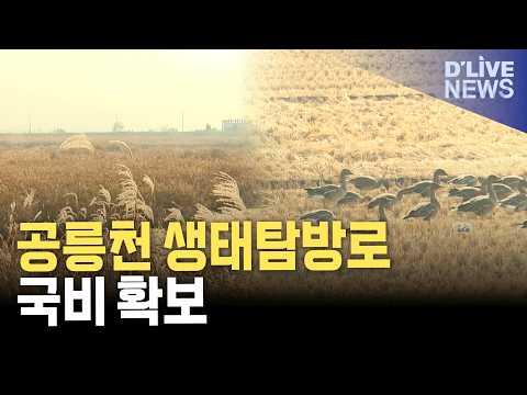 <strong>파주</strong> 공릉천 생태탐방로 조성사업…국비 확보로 탄력