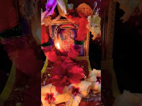 Dhak Baja..... #ytshorts #musicgenre #trending #music #song