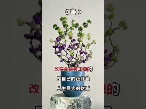 善缘……路漫漫……人兮兮……修身养性古今用……感谢订阅分享☕☕ #心灵感悟 #人生感悟