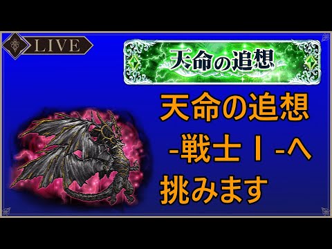 ＜FFRK＞天命の追想 -戦士Ⅰ-へ挑みます