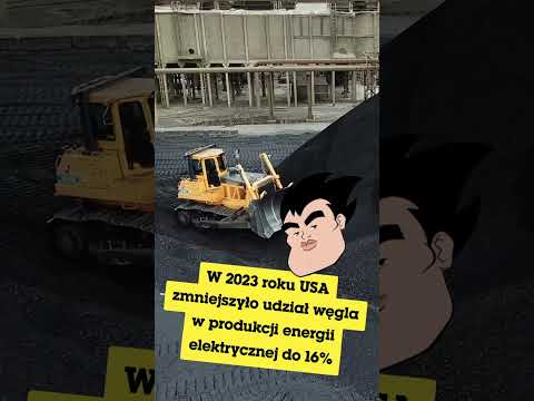 Rzuć okiem na te dobre klimatyczne zwierzaki! | Mistrzowie klimatu 🌍💪 | @cartoonnetworkPL