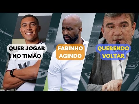 image para ilustrar o artigo
