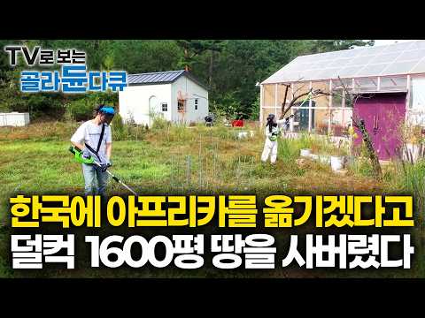 3년째 미완성. 중고 굴삭기 2,500만 원까지 사서 매달린 부부가 3년 만에 내린 결론｜난로를 켜도 일산화탄소 중독 걱정이 없다는 집｜건축탐구 집｜#골라듄다큐