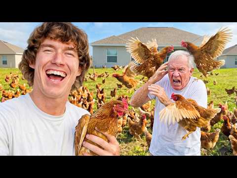 I Bought 200 Chickens To Annoy My Neighbors!