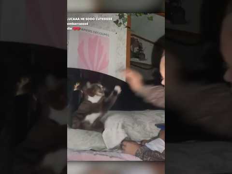 Yonna's Cat Doesn't Like Her 😭