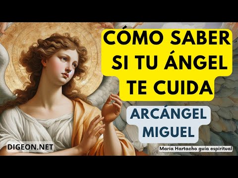 MENSAJE DE LOS ÁNGELES PARA TI -DIGEON- Tu Ángel te CUIDA- Arcángel Miguel -Ens VERTI