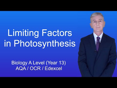 A Level Biology Revision (Year 13) “Limiting Factors in Photosynthesis”